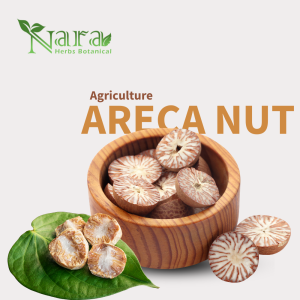 PRODUK SUPER WHITE Areca Nut